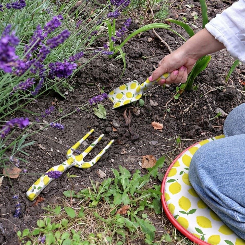 Ladies Gardening Tools Gift price